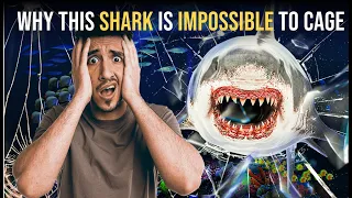 Why This Shark Is Impossible To Cage