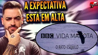 ALEXANDRE SANTOS REACT: BBC Vida Marota: O Rato-esquilo