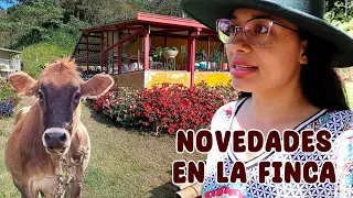 Novedades en la finca: Vacas, árboles frutales y nuevos proyectos │Candy Bu