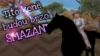 Poslední šance koupit tohoto koně! | Star Stable Online