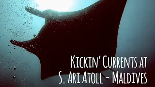 RARE 7-Manta Train! Kickin' Currents: Scuba Diving S. Ari Atoll - Maldives Aggressor 4K 🎵 Solomun