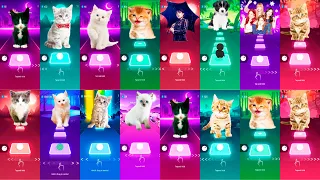 ALL CUTE CATS LADY GAGA BLOODY MARY JISOO FLOWER BLACKPINK LISA MONEY TILES HOP EDM RUSH!