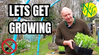 March Veg Garden Growing For Success || Crops you'd be Foolish Not to Plant in March