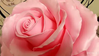 Торшер - светильник роза "Нежность" из изолона.  Часть 1 вырезаем и формируем лепестки.