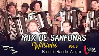 Mix de Sanfonas   (DVD Wilsinho vol.3)