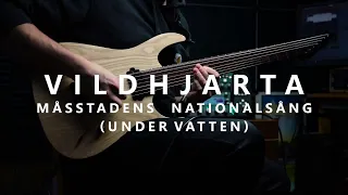 Vildhjarta - Måsstadens Nationalsång (Under Vatten) (Guitar Cover)