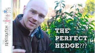 The Ultimate Hedge?