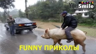 Приколы 2016  Лучшие за декабрь  #146  Смешное видео, Смотреть всем, это россия детка, русские прико