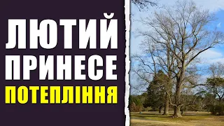 Аномальний лютий. В Укргідрометцентрі розповіли про потепління, яке принесе кінець зими