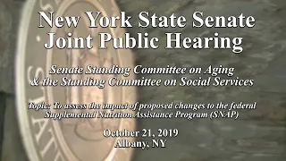 New York State Senate Joint Public Hearing - 10/21/19