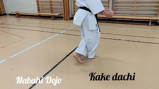 Kyokushin stances (dachi)