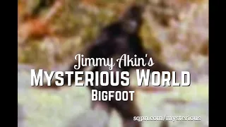 Does Bigfoot Exist? - Jimmy Akin's Mysterious World