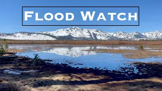 A flood watch has been issued for South Lake Tahoe + recap of bear encounter.