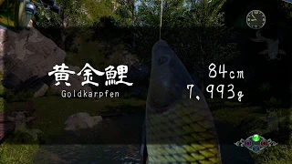 Shenmue 3 Angelass Trophäen Guide [Angler Extraordinaire] [English Subtitles available]