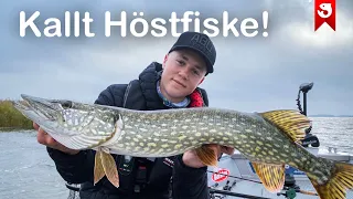 Kallt HÖSTFISKE efter GÄDDA!