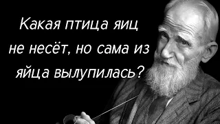 10 загадок с подвохом, чтобы размять мозги