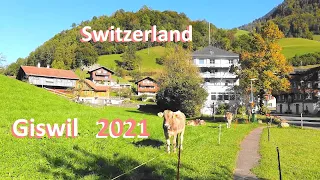 SWITZERLAND - GISWIL - Lungern - Interlaken - Grindelwald - Suiza