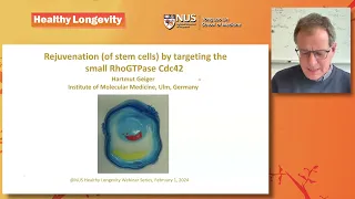Rejuvenation of stem cells by targeting RhoGTPase Cdc42