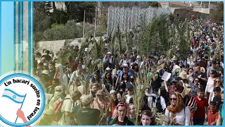 Domingo de Ramos desde Jerusalén - Tierra Santa - La Tierra de Israel