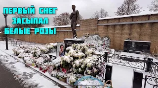 Памятник Юры Шатунова и белые розы все в ПЕРВОМ снегу.Розы присыпало снегом,очень КРАСИВО