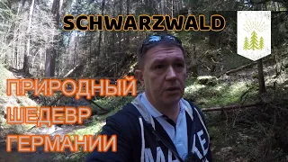 Шварцвальд - пешком по природному шедевру Германии