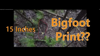 My Bigfoot Story Ep. 213 - Another Footprint & The Stone Structure