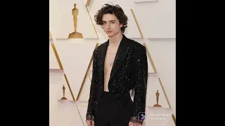 Oscar 2022 Red Carpet Fashion Moments