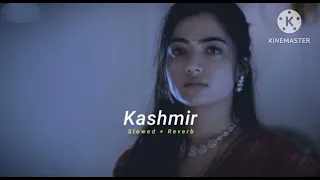 Animal-Kashmir song (slowed and reverb)(lofi)#slowedandreverb