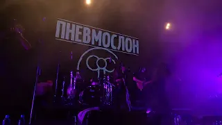 Пневмослон - Адовый адок (Live @ Base Birthday Fest, Moscow. 2024.01.08)