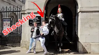 YOuNG MAN PROVOKED THE ROYAL KINGS HORSE AT HORSE GUARDS #horseguardsparade