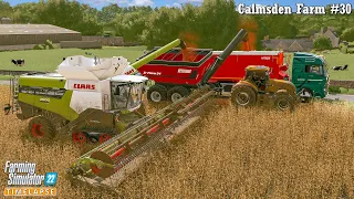 Finishing the Sorghum Harvesting Contract. Buying a PÖTTINGER Disk Harrow🔸Calmsden Farm #30🔸FS 22🔸4K