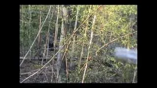 Wanted Dead Or Alive - 2013 Alberta Black Bear Hunt Mike's Outfitting