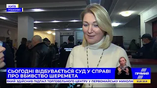 Тут відбувається політичне рішення - Іонова про суд у справі вбивства Шеремета