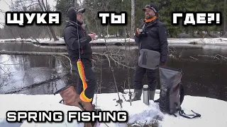 Looking for PIKE in early Spring | Casting Fishing with Silicone Baits on a Forest River 2024