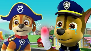 Paw Patrol Best Rescue Moments - Chase, Rubble & More - 60 Minute Compilation