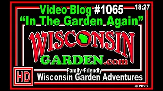 In The Garden Again   Wisconsin Garden Video Blog 1065
