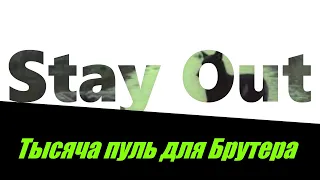 ⭐Stay Out⭐Сталкер-Онлайн👍 Тысяча патрон для Брутера .  Золота есть ???