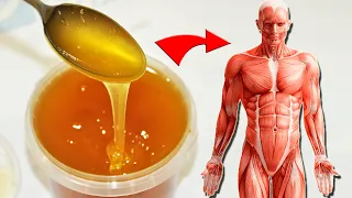 Можно ли есть мёд ? Польза мёда для организма. Пищевая ценность мёда. Вред мёда. Аллергия на мёд