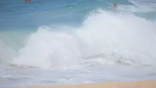 Sandy Surfers and Makapu'u Birds