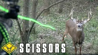 "SCISSORS" | 180" GIANT Buck... 10 Yards and Closing!!