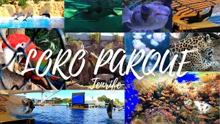 🇮🇨Tenerife Vlog #60 | Loro Parque