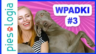 WPADKI - Bloopers #3