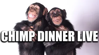 Chimp Dinner Live