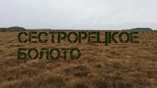 Сестрорецкое болото | Сестрорецк (Санкт-Петербург)