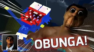 Monster School : OBUNGA CHALLENGE WITH BABY HUGGY WUGGY - Minecraft Animation