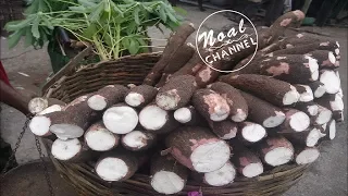 Process Of Making Cassava Flour by Manual Method - Cassava processing line