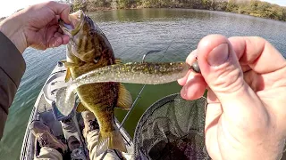 HAMMERING Some Fall Smallies!