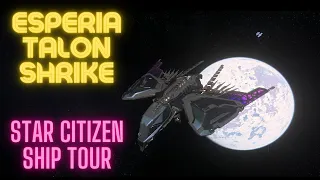 The Talon Shrike (from Star Citizen) - A Tour of the Ship