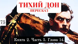 «Тихий Дон» / Подробный пересказ / Книга 2. Часть 5. Глава 14.