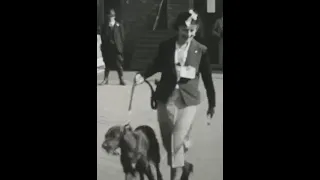 1920s Dog Show, Rare UK 16mm Home Movie Footage